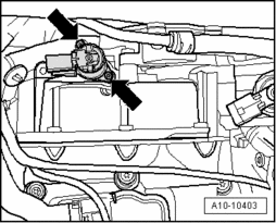 GW00017500