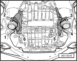 GW00017811