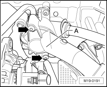 GWWM19-0191