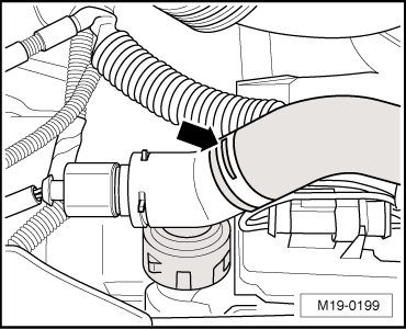 GWWM19-0199