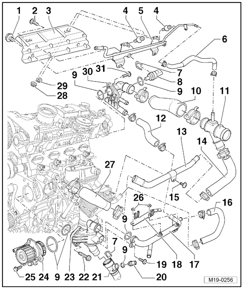 GWWM19-0256