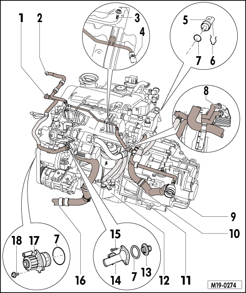 GWWM19-0274