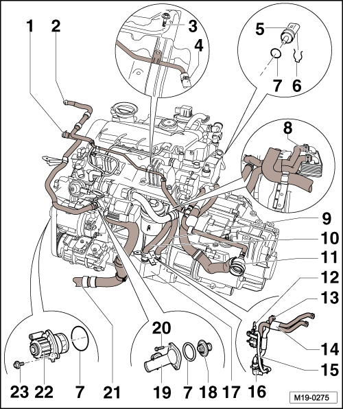 GWWM19-0275