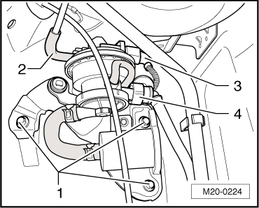 GWWM20-0224