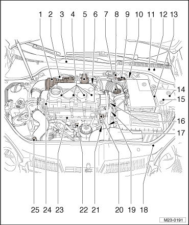 GWWM23-0191
