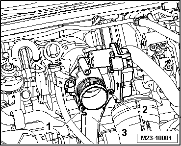 GWWM23-10001