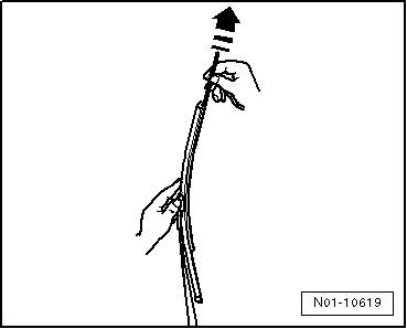 GWWN01-10619