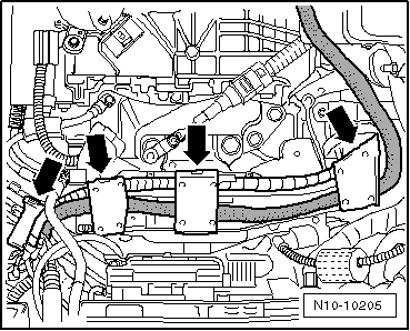 GWWN10-10205