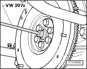 GWWV13-0446