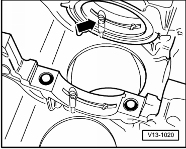GWWV13-1020