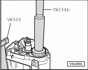GWWV34-2655
