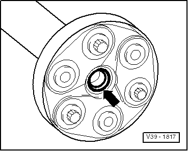 GWWV39-1817