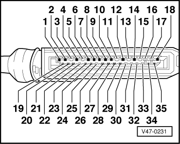 GWWV47-0231